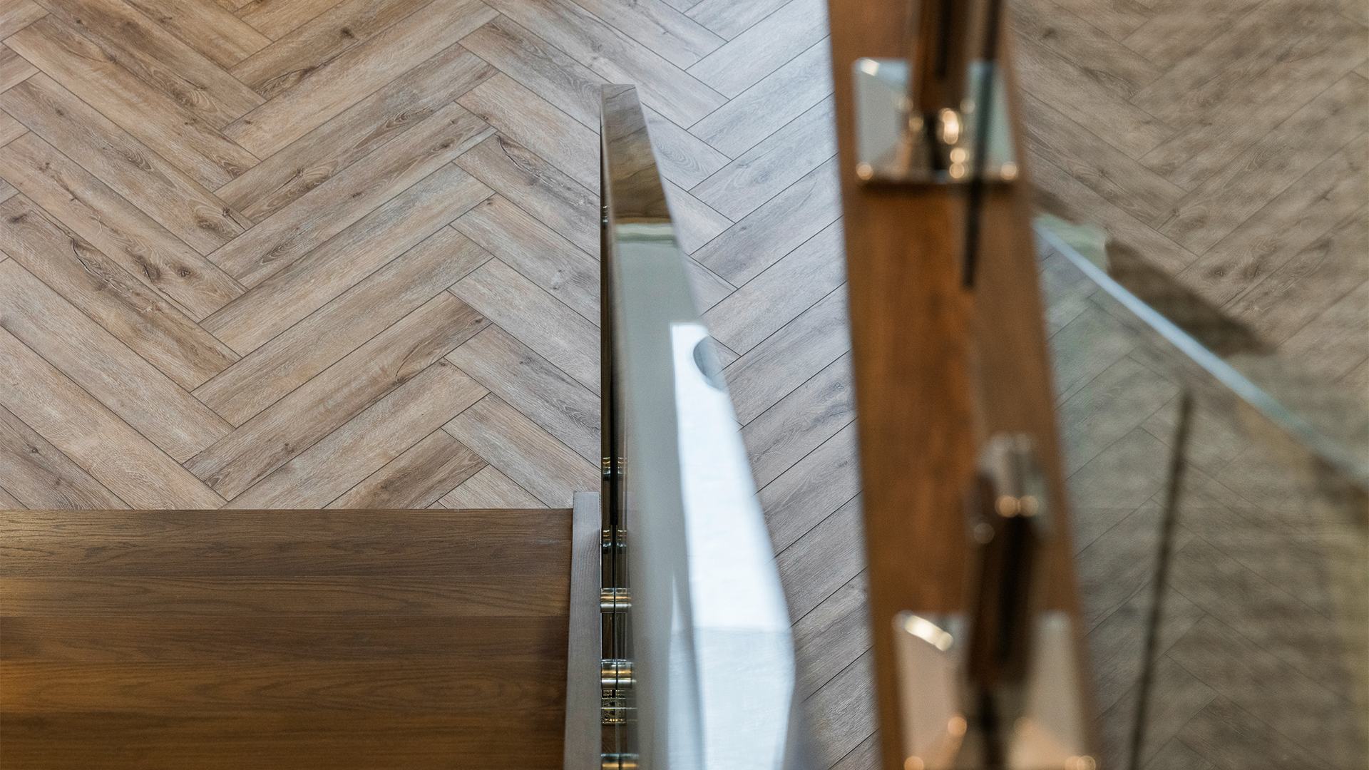 BELLEVUE 369 40 Displayed at Botanical VIC 13