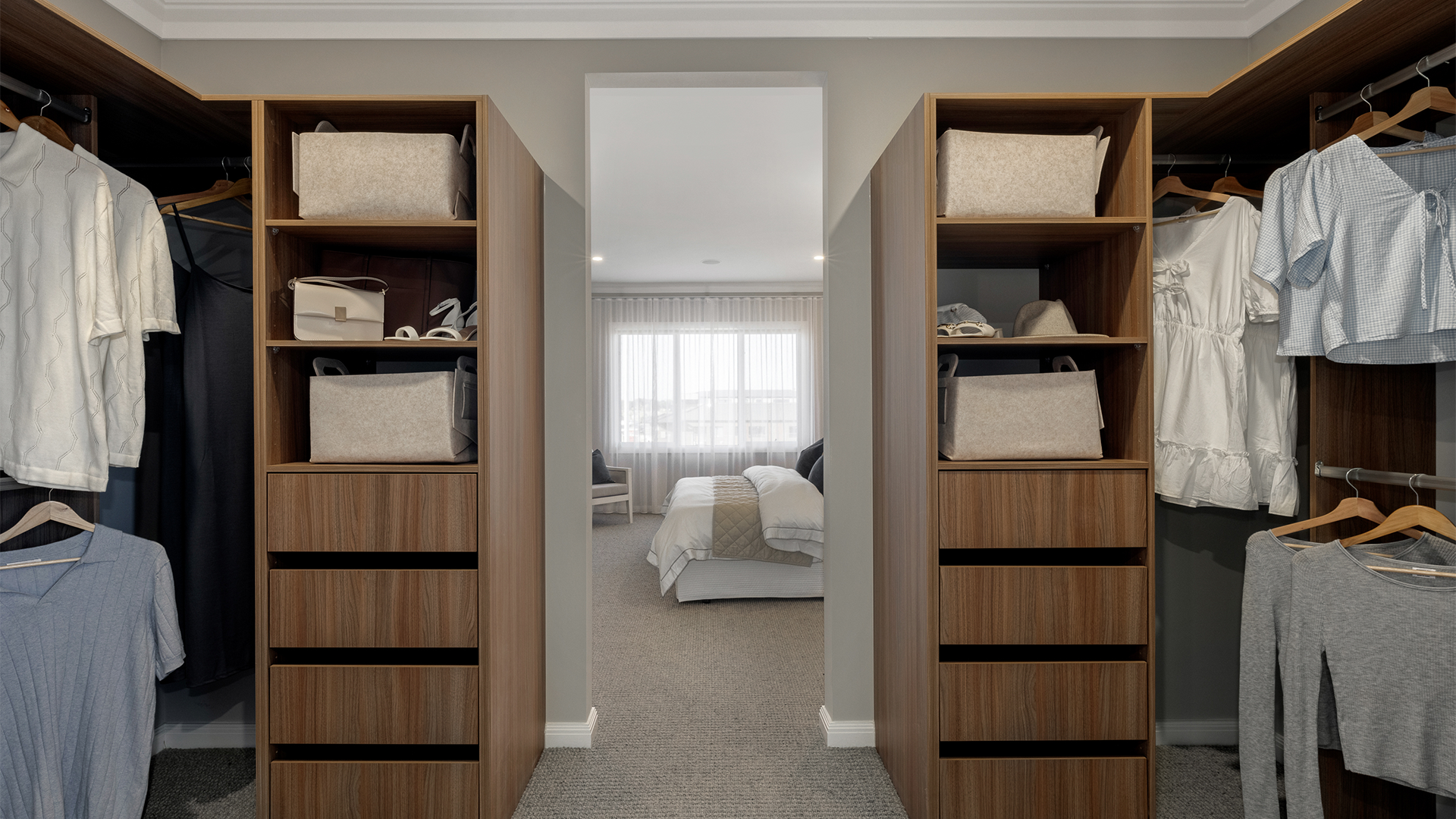 BELLEVUE 369 40 Displayed at Botanical VIC 14