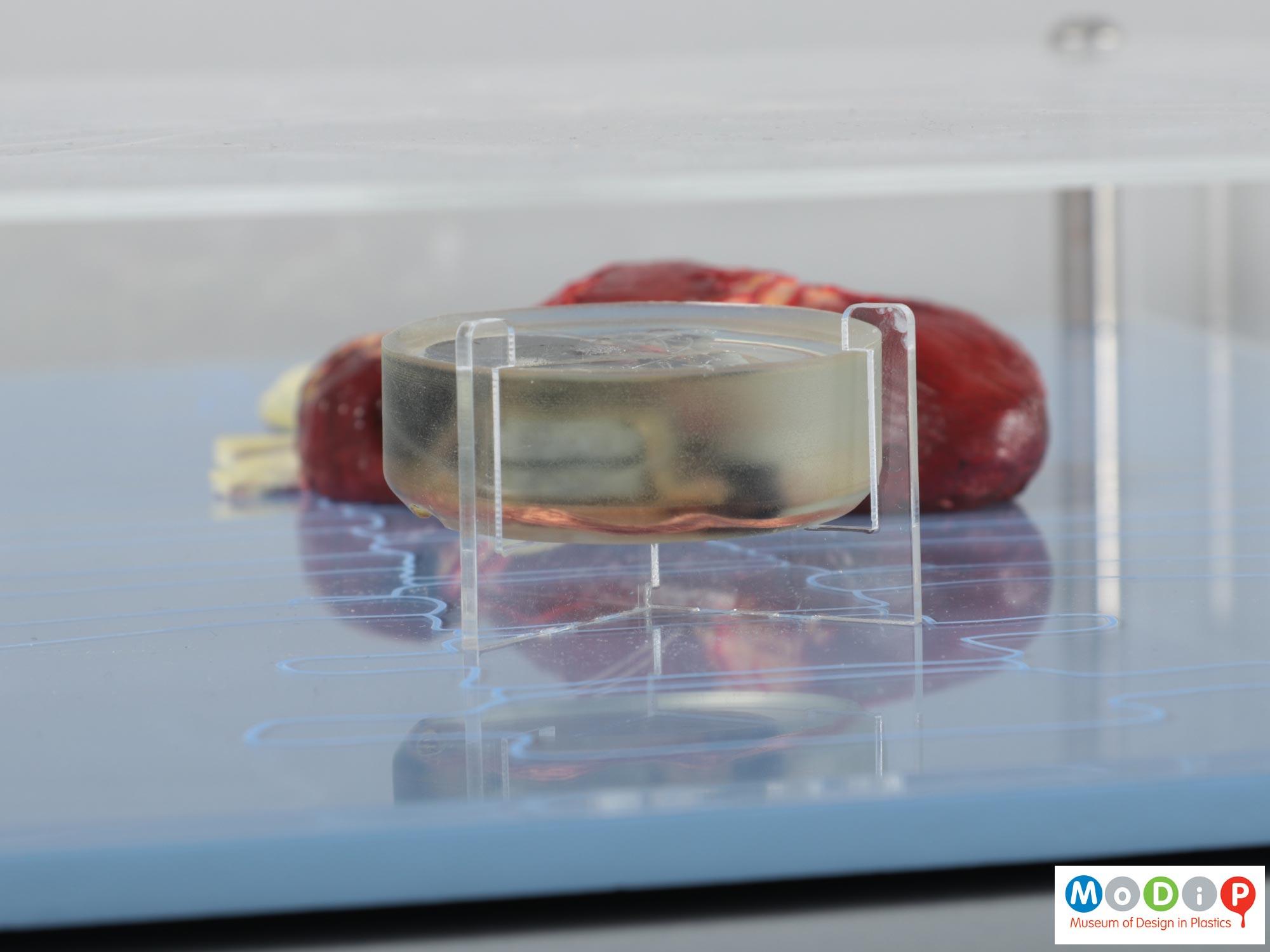 Pacemaker model