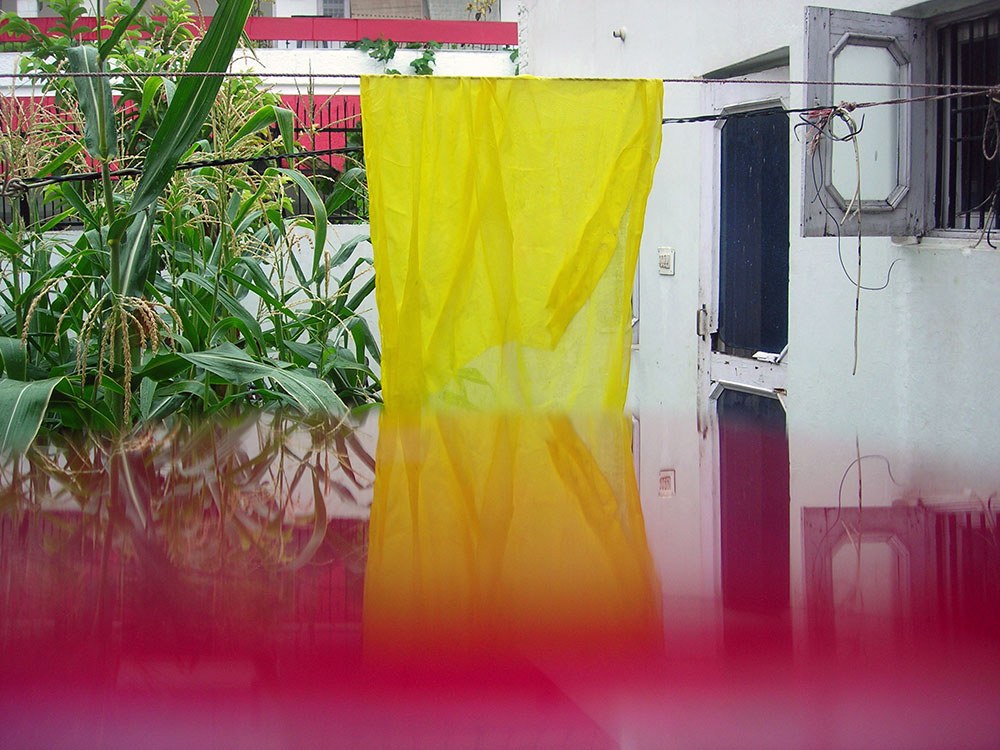 Sheet hanging in a garden, with a large plant on the left and a metal door on the right.