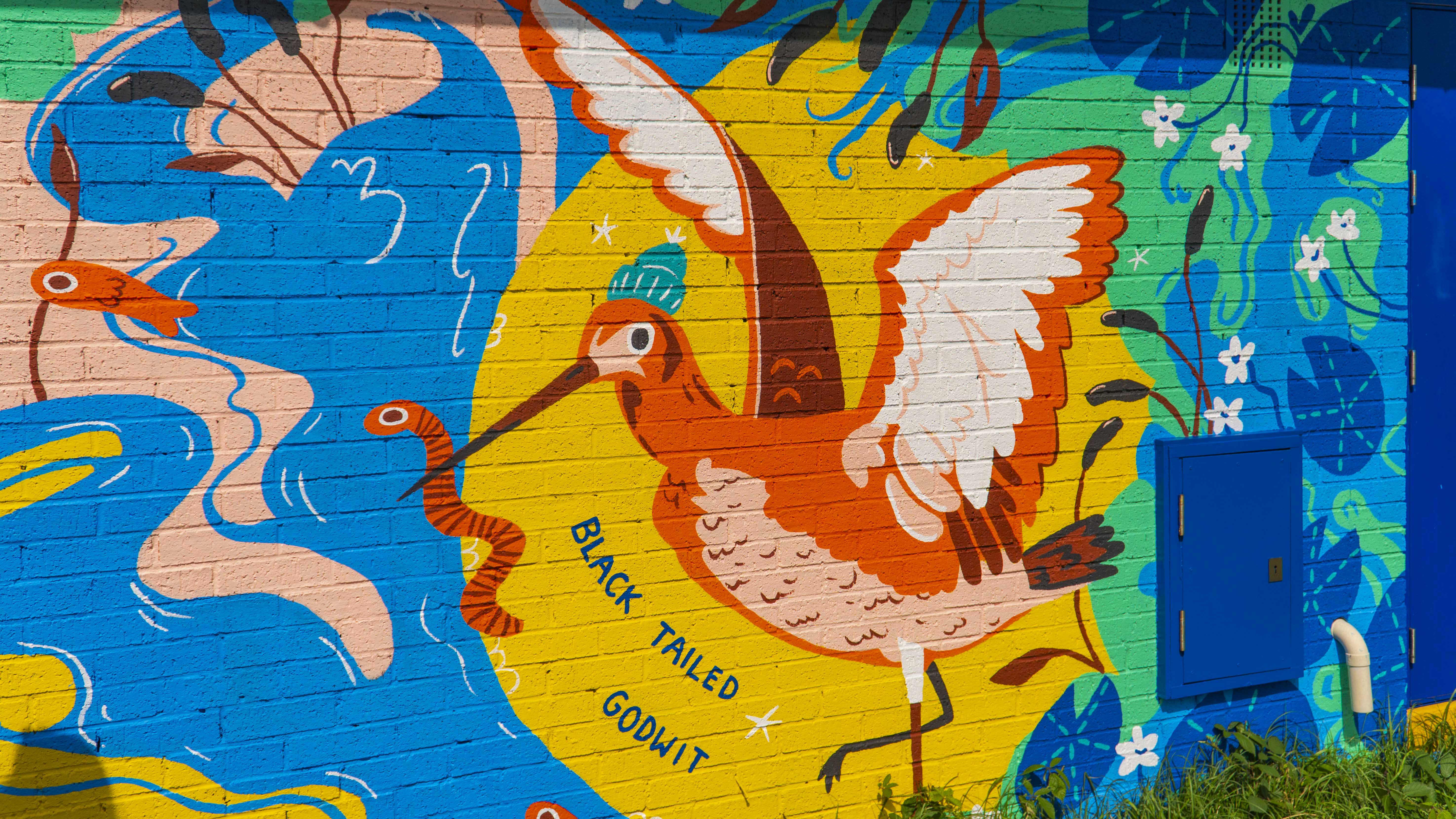Bold and colourful mural depicting a black-tailed godwit bird with a worm in its beak, near a pond with reds and a fish in it.