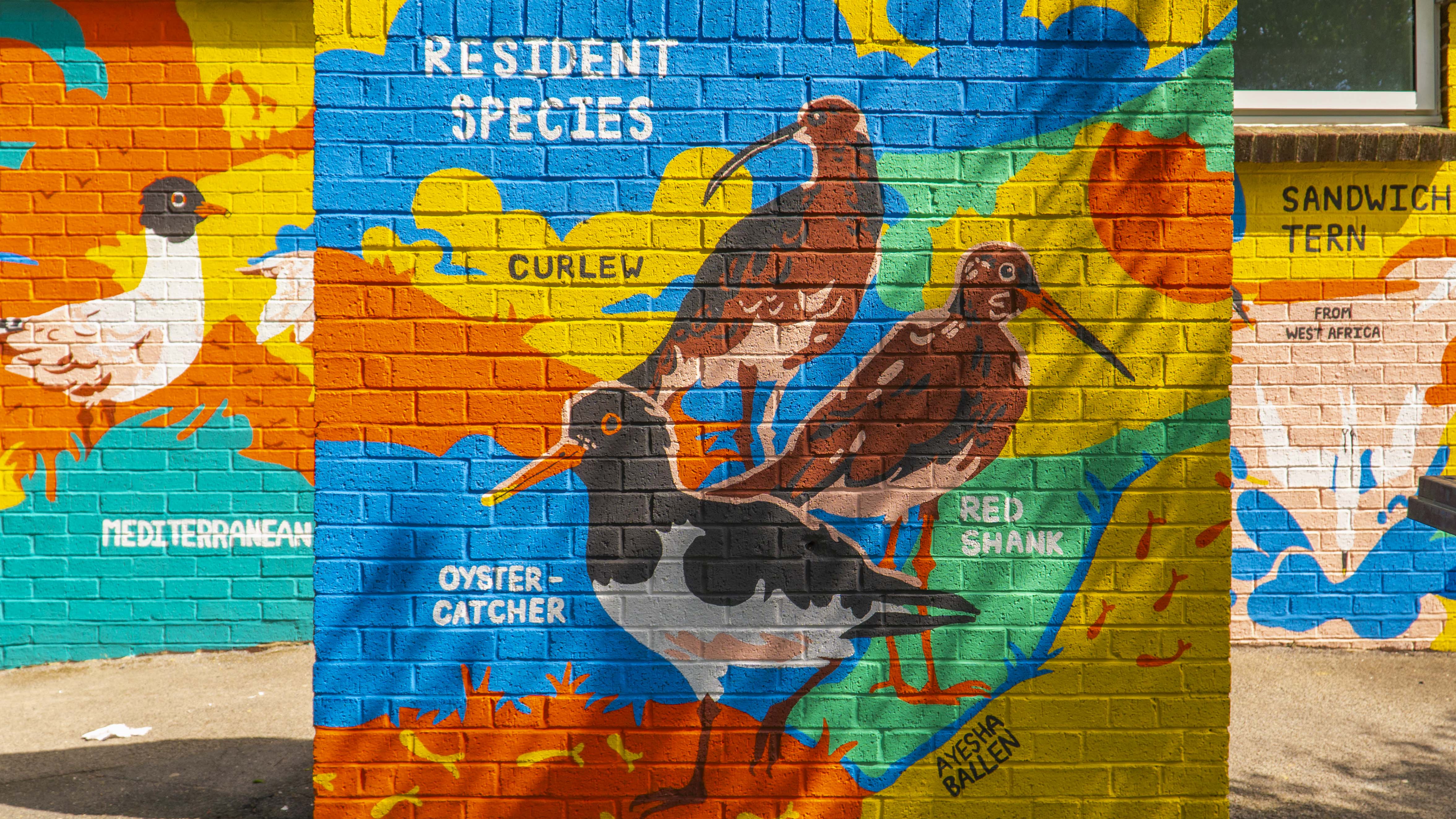 Bold and colourful mural depicting different species of birds, painted onto a multi-level brick wall.