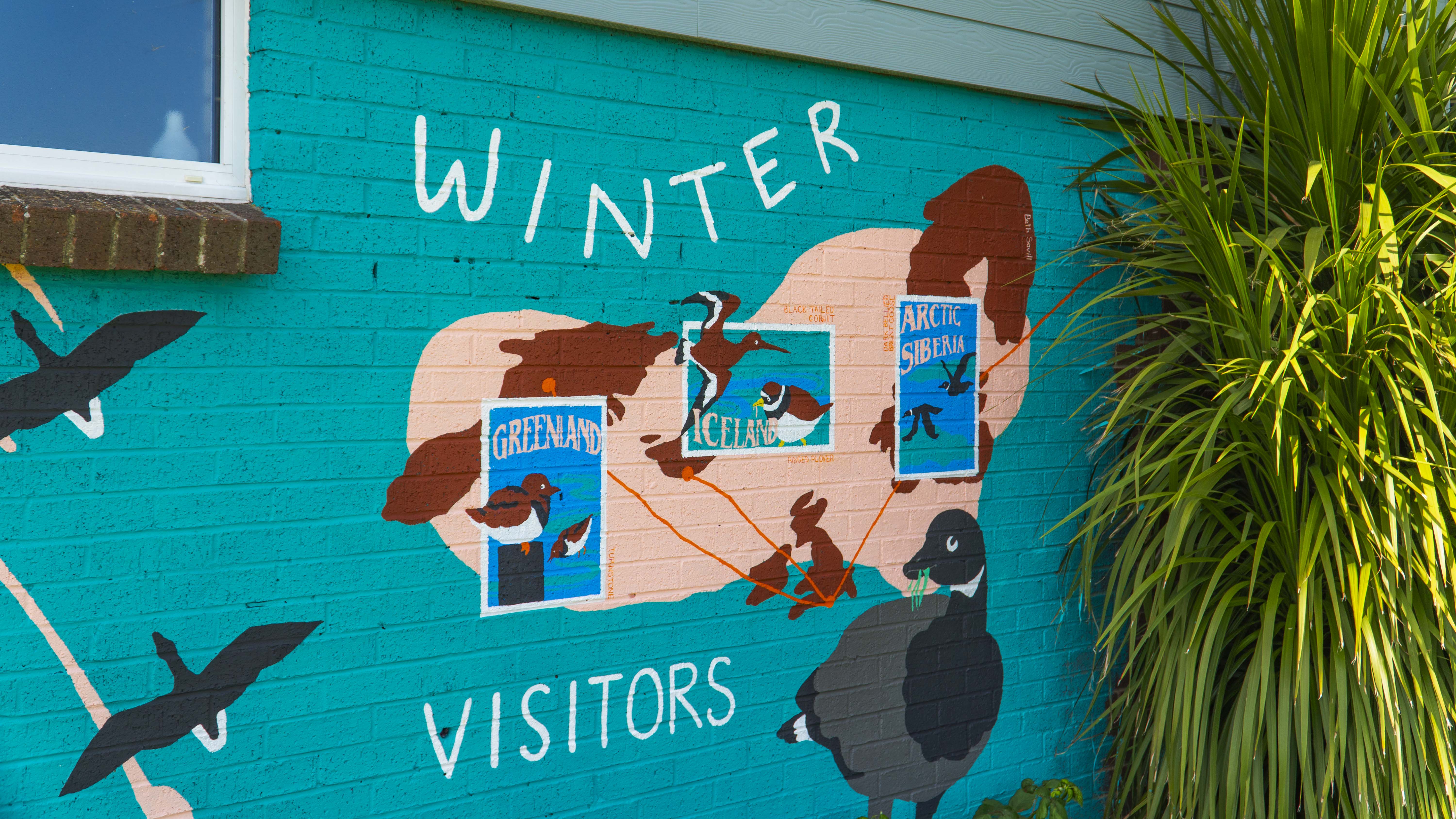 Bold and colourful mural showing different species of birds with posters for Greenland, Iceland and Arctic Siberia. The words "Winter Visitors" also appear in the mural.
