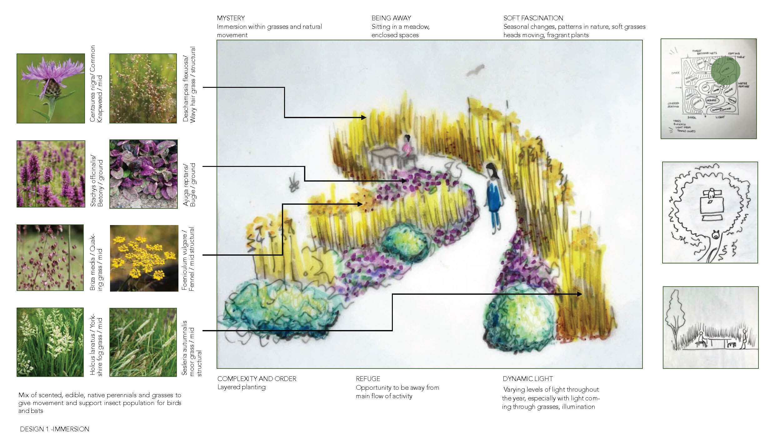 Garden design illustration with curved planting beds in green, purple, and yellow, surrounded by plant reference photos and technical drawings on white background.
