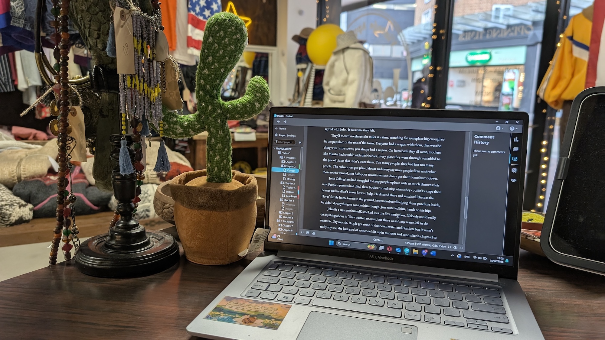 Laptop displaying code on dark screen sits on wooden desk with potted cactus, the lower half of a model bird, and shop window visible in background.