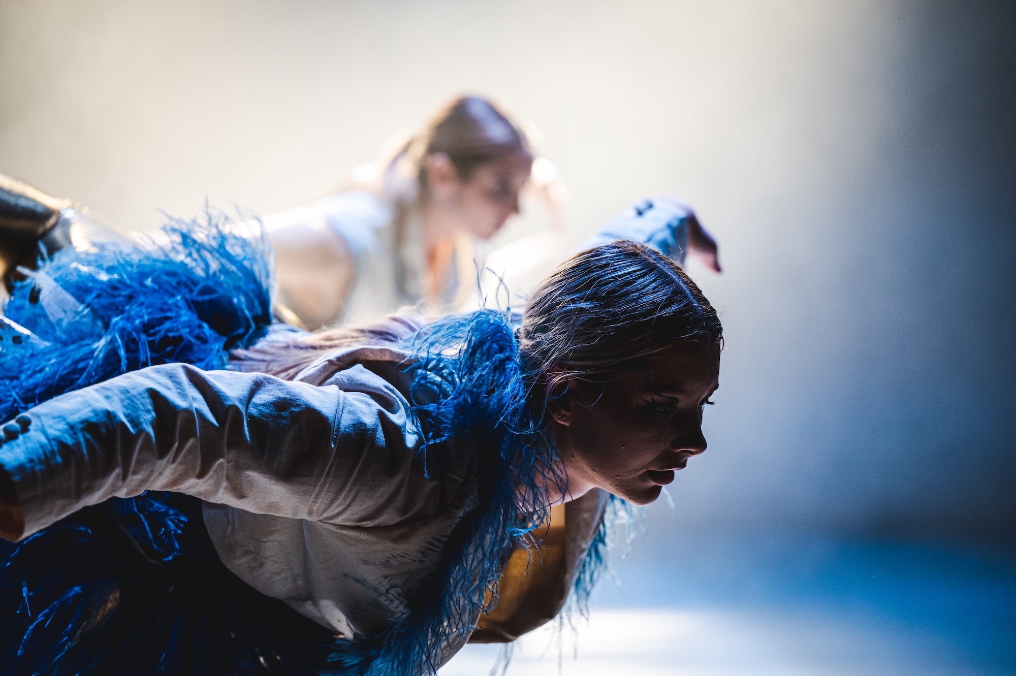 A dancer in a blue feathered costume leans forward in the foreground, with another blurred performer behind against a softly lit stage backdrop.