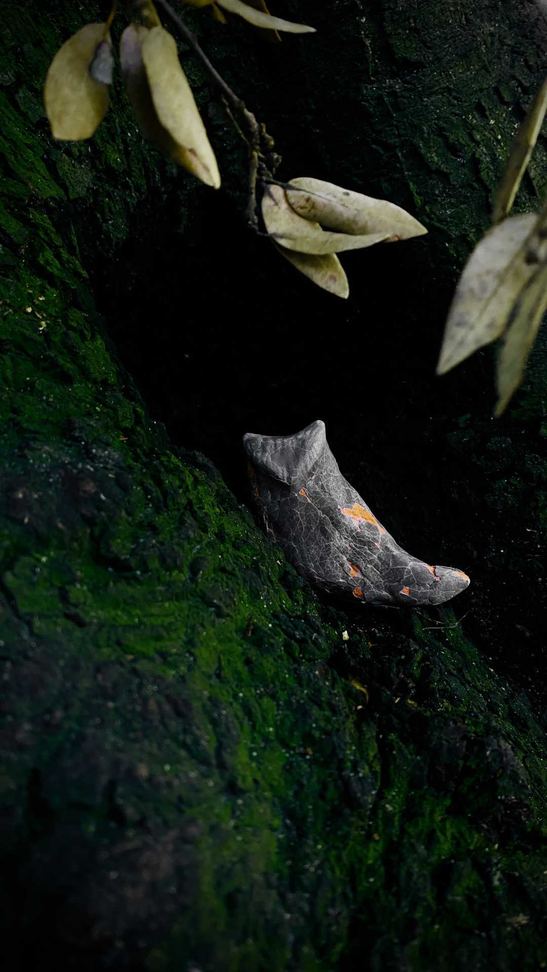 close up image of tree