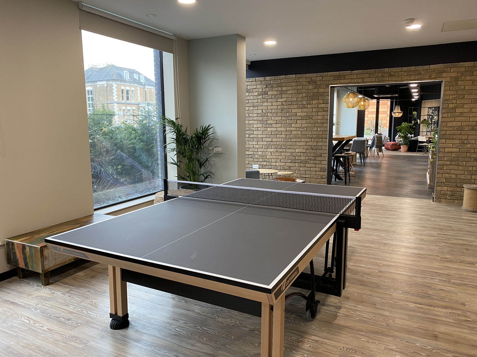 Table tennis at Home Park, with plants and big windows.
