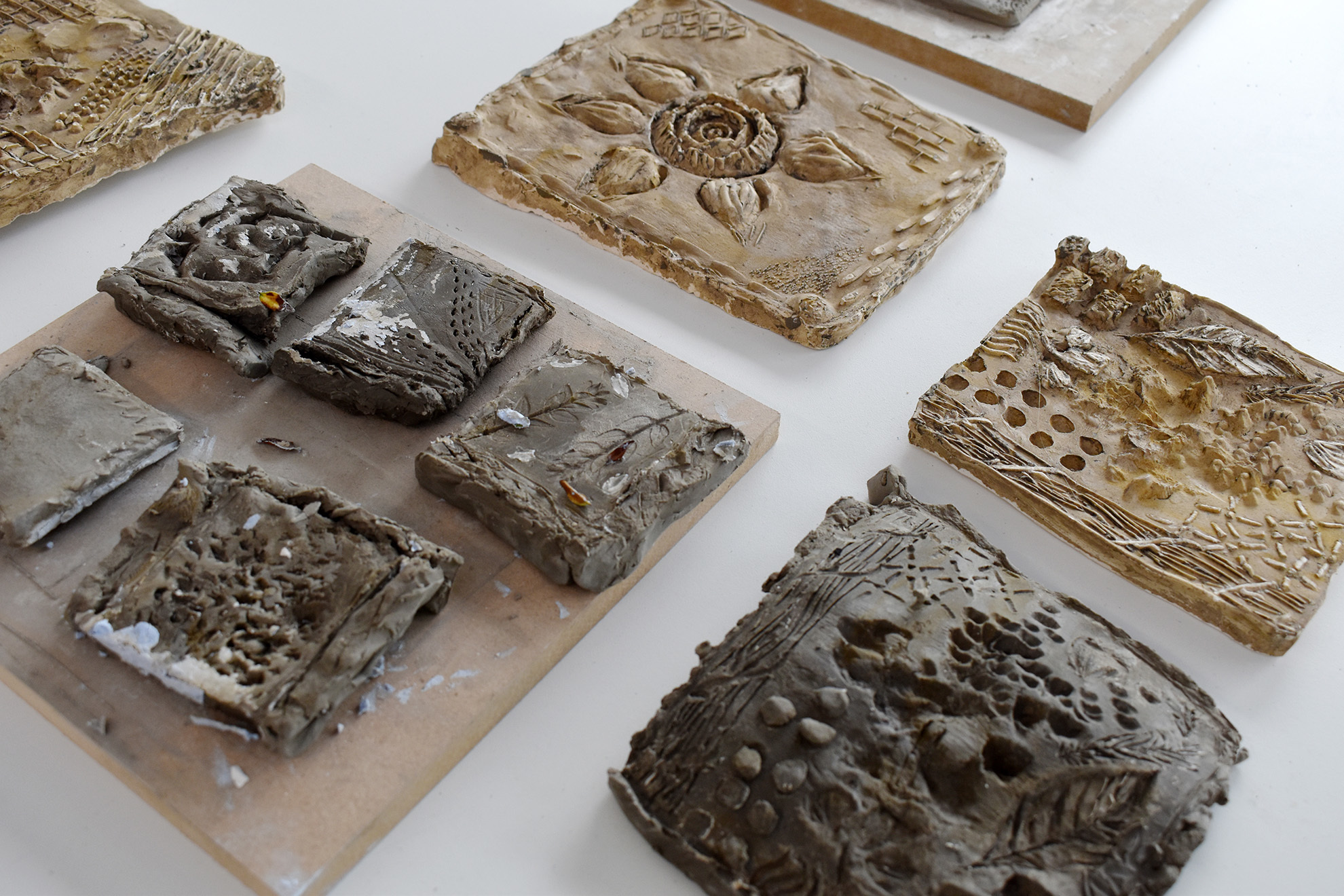 Clay moulds cast using plants and flowers