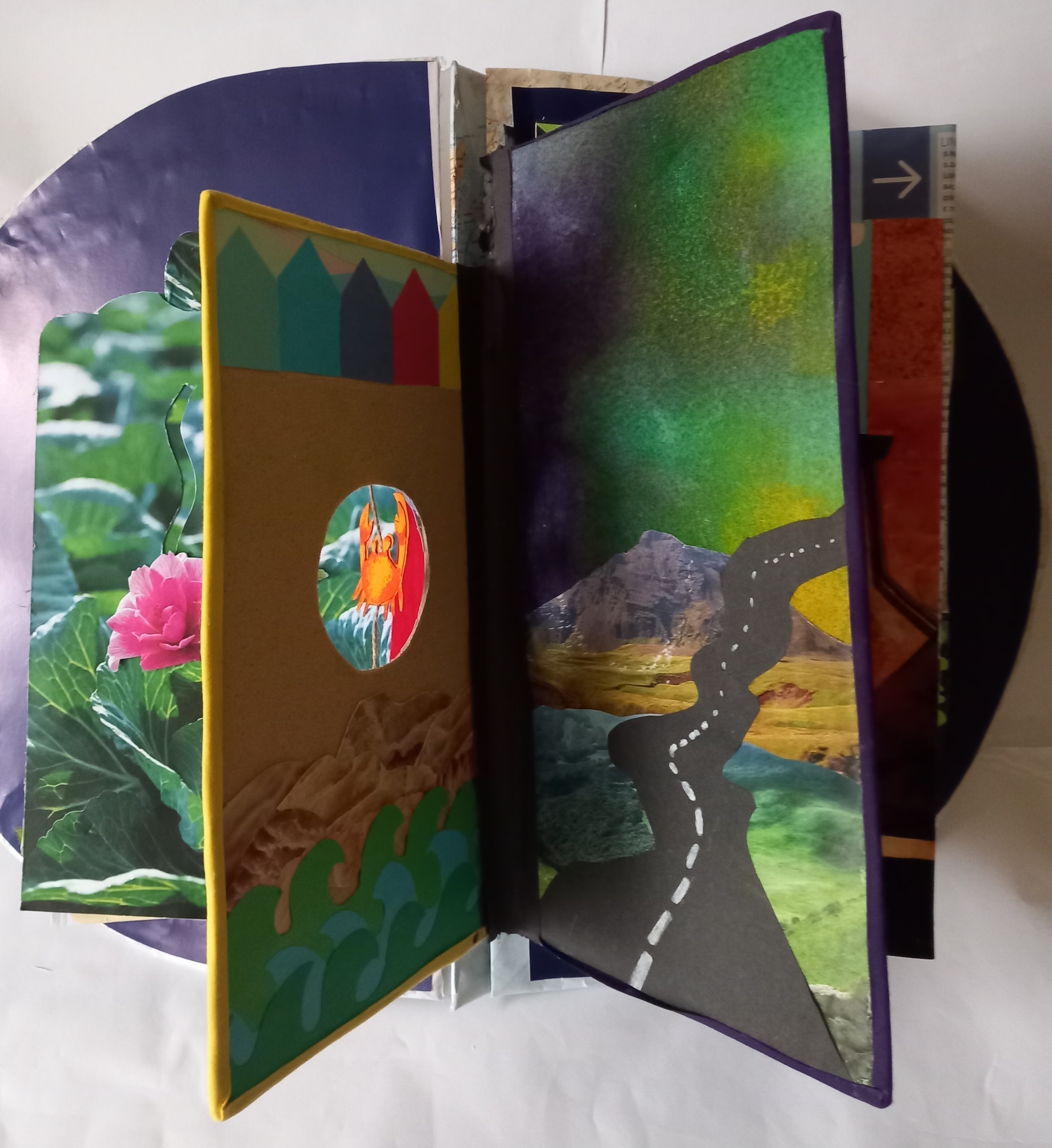Open pop-up book with colourful pages showing green jungle scenes, winding road, parrot illustration, and purple covers