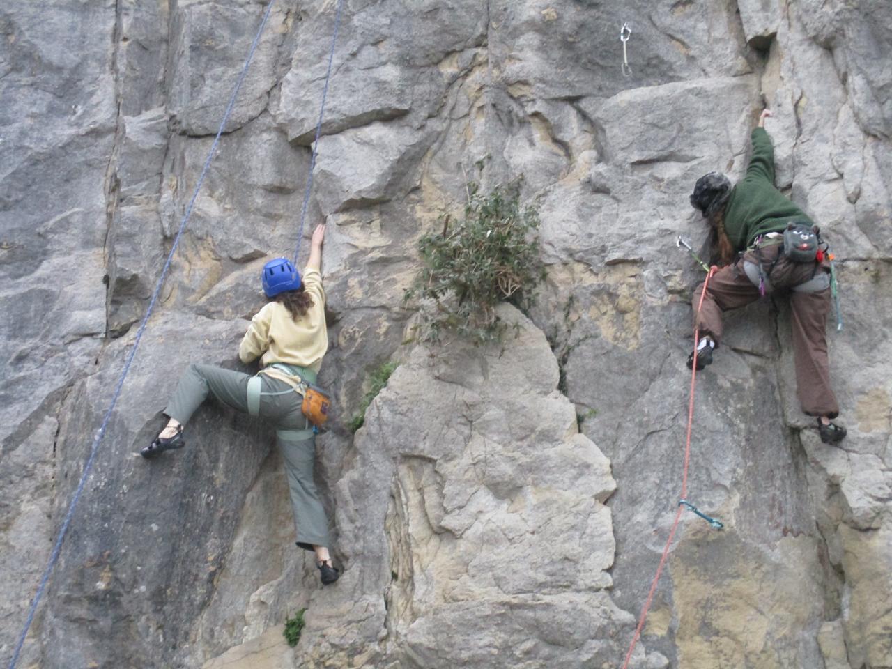 Two rock climbers scaling grey limestone cliff face with ropes and helmets, small green vegetation visible in rock crevices.