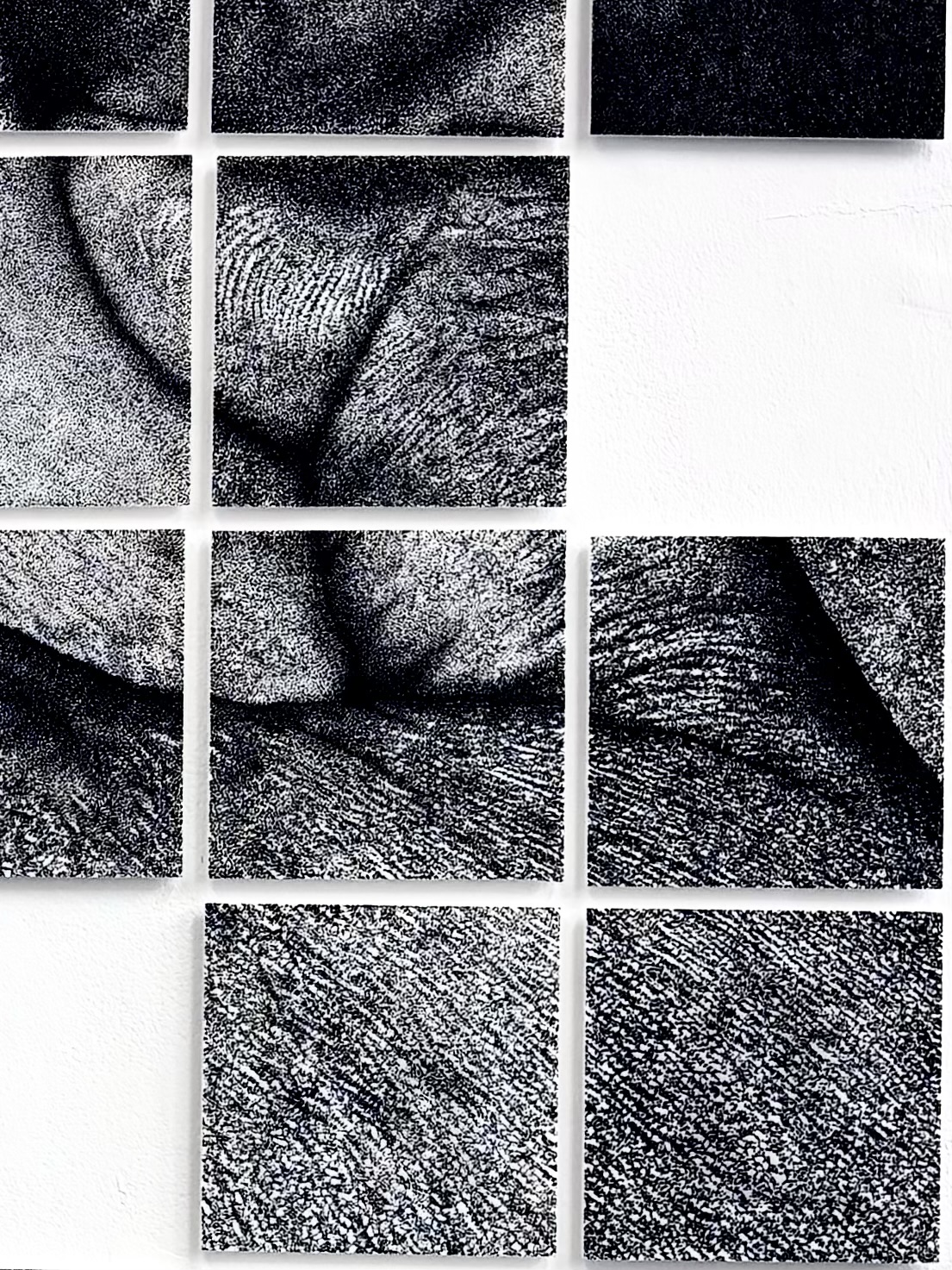 An abstract artwork composed of multiple square panels arranged in a grid. The panels feature intricate black and white textures, depicting curved and layered patterns that suggest depth and movement.