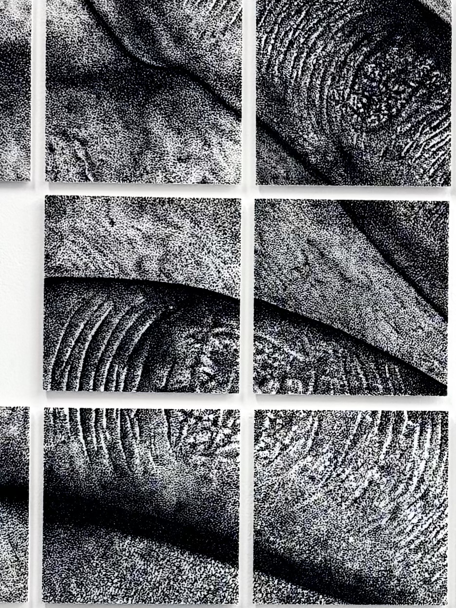 A close-up collage of textured surfaces in black and white, featuring intricate patterns and lines, highlighting the interplay of light and shadows across the varying textures. The image is composed of nine squares arranged in a grid.