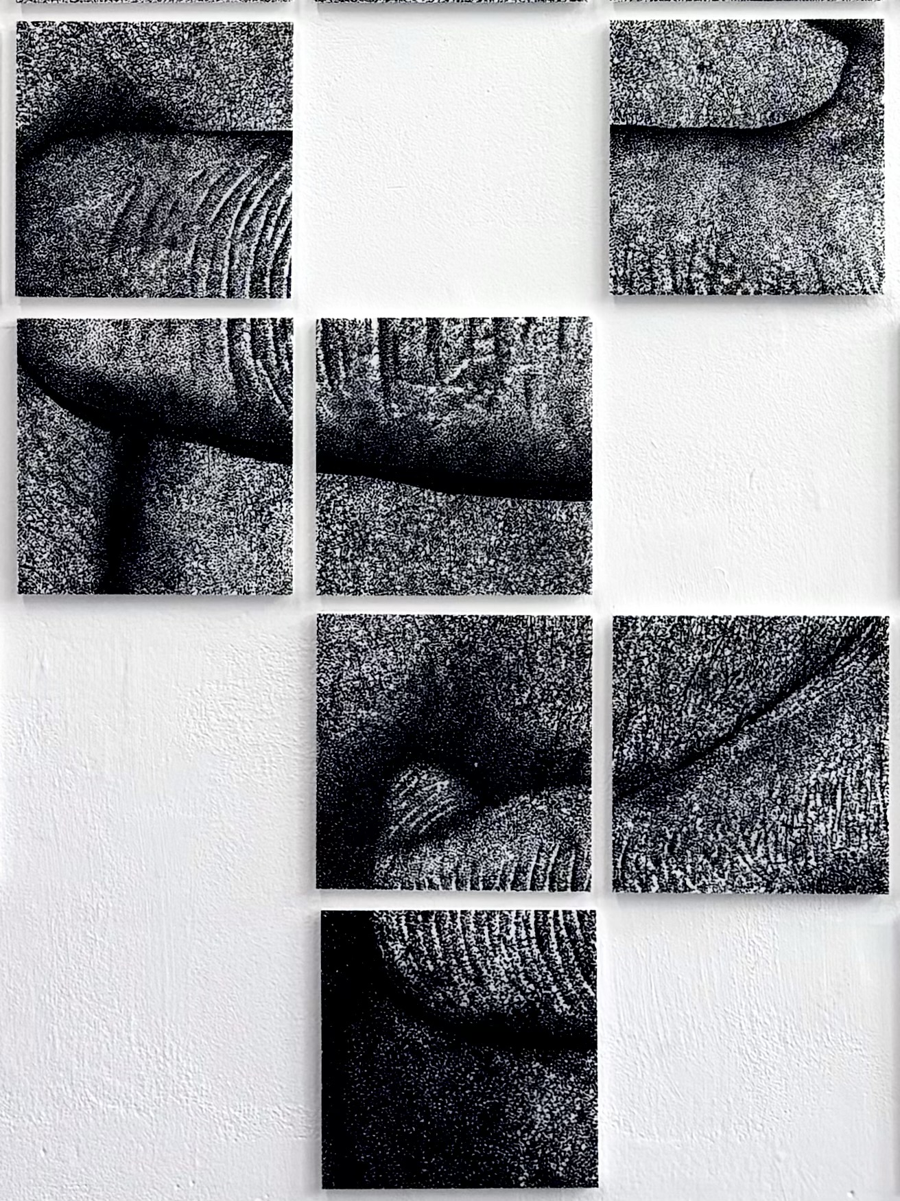 A series of black-and-white panels displaying close-up textures and patterns of wrinkled skin, arranged in a grid format on a white wall. The images focus on various details, emphasizing the intricacies of the surface.