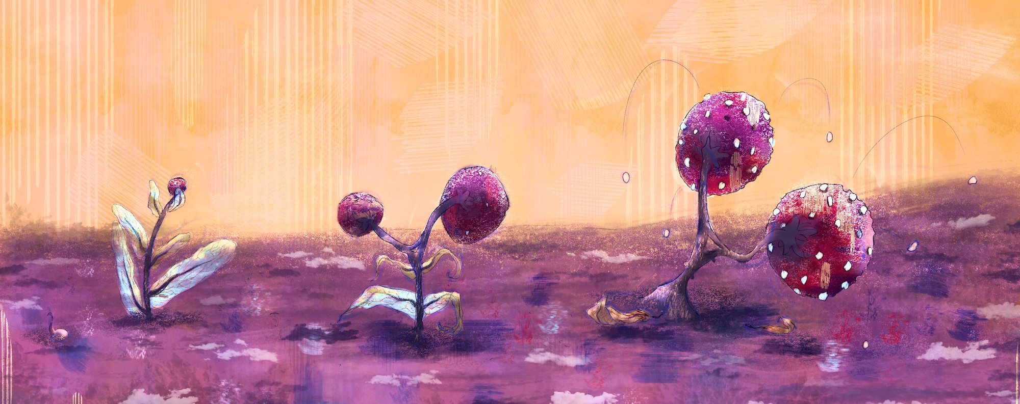 Illustrations of three berry or fungus-like plants growing in red-brown soil.