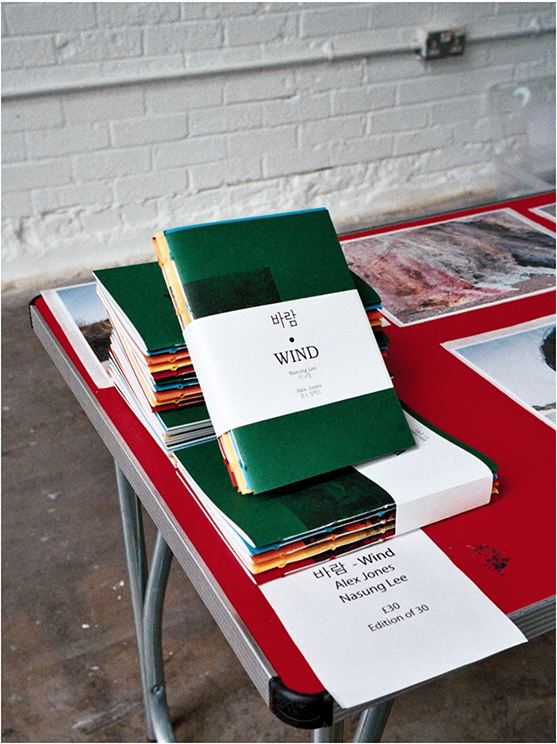 Photograph of Green Books