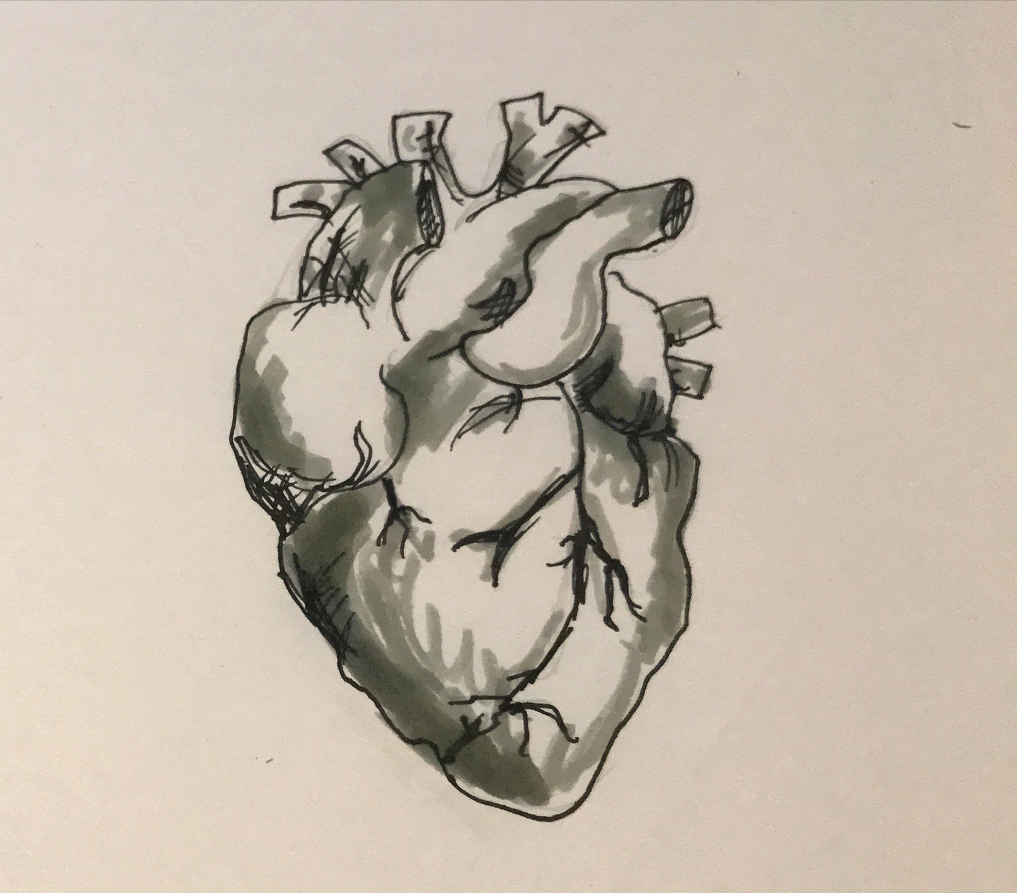 Abstract drawing of a heart