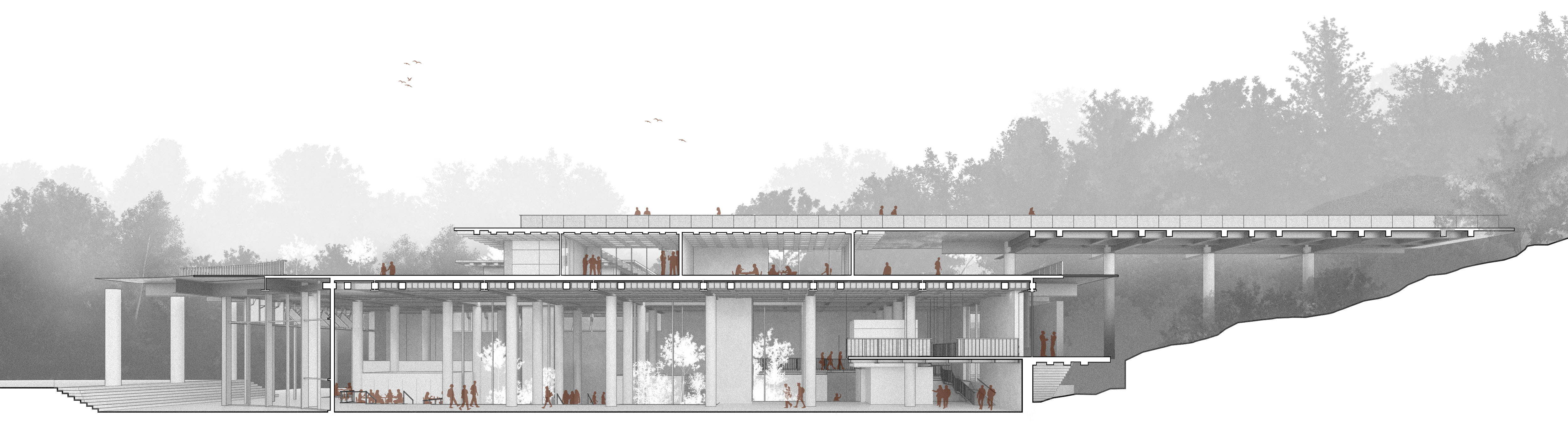 Modern single-storey building with flat roof, large glass windows, concrete pillars, and surrounding trees in monochrome.
