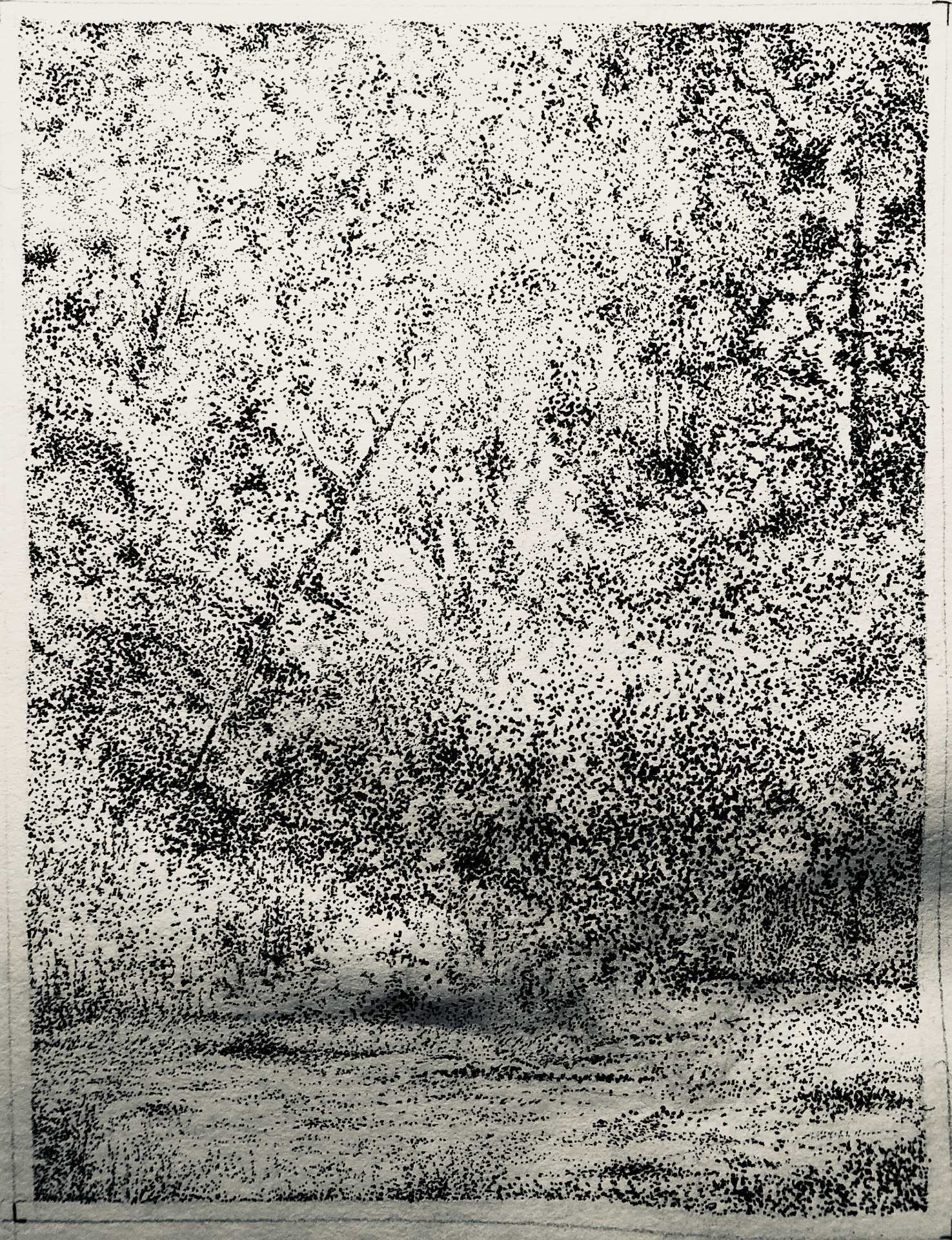 Drawing of forest