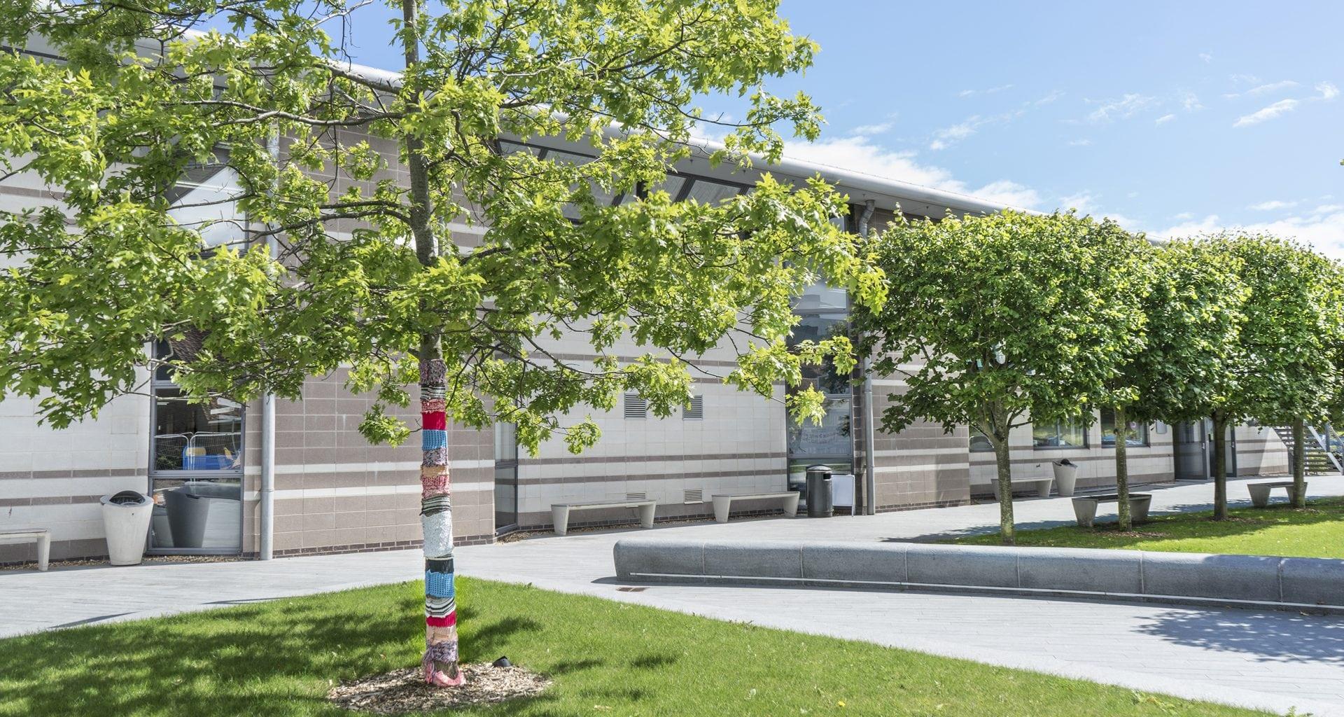 A courtyard with a row of trees and a university building in the background.