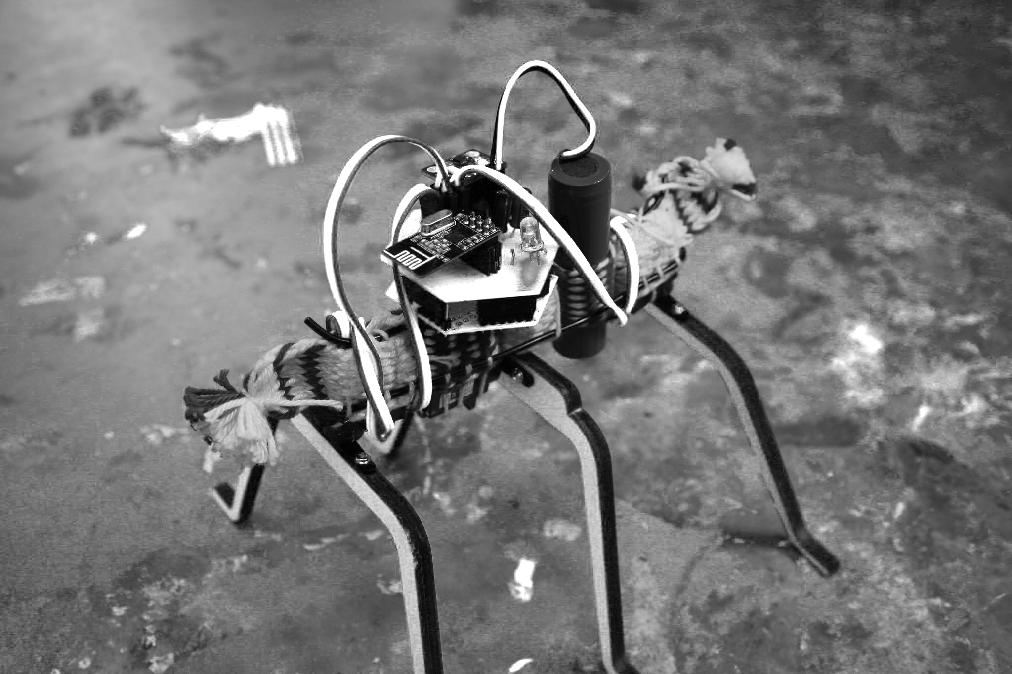 Black and white image of FoAM robot