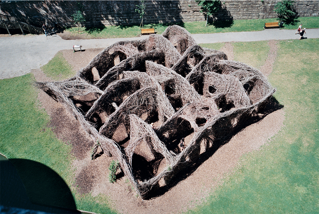 Photograph of a wooden woven installation outside