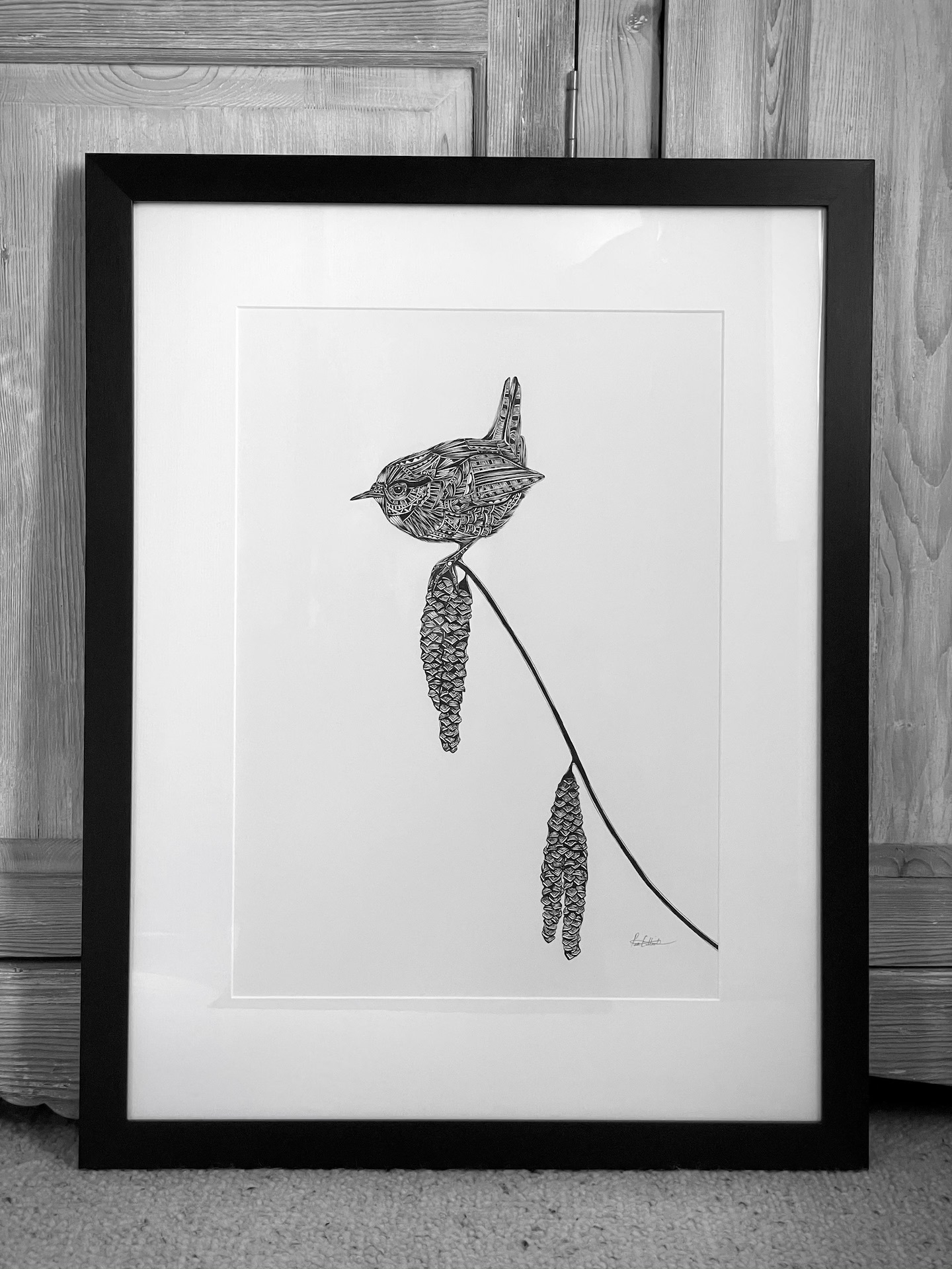 Framed, intricate drawing of a red on a thin tree branch, black and white.