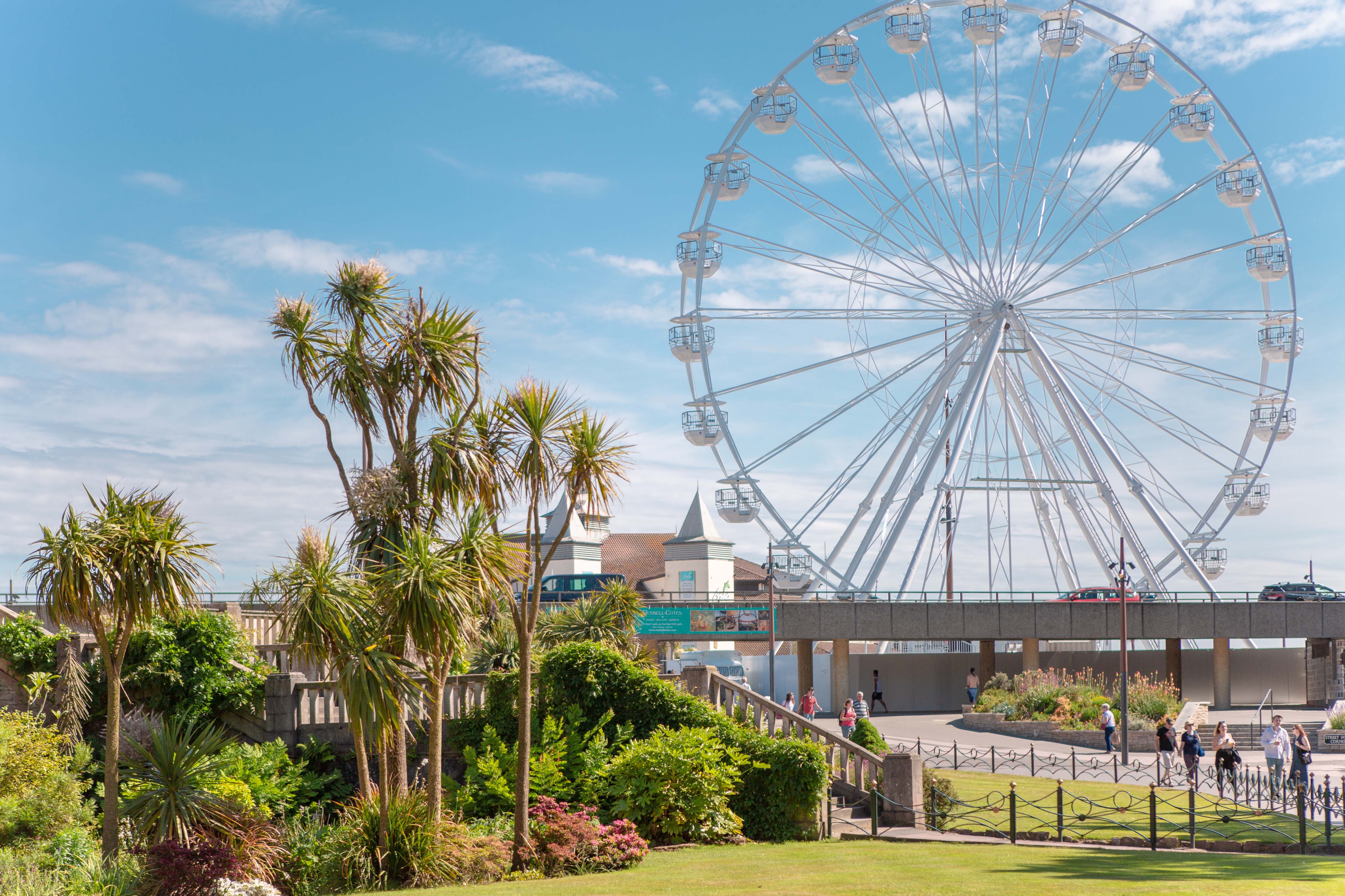 Large white Ferris wheel dominates blue sky with white clouds. Green palm trees and landscaped gardens in foreground with curved pathway.