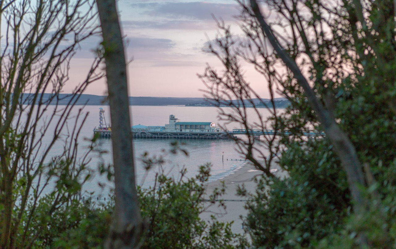 Wooden pier extends into calm water viewed through bare tree branches and green foliage during twilight with pink-purple sky.
