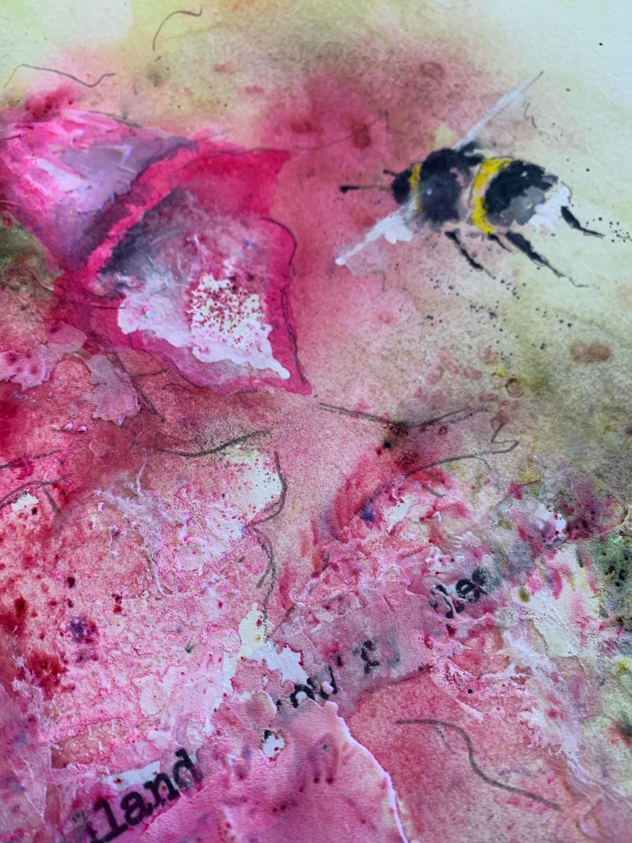 Watercolour bee by Alison Board