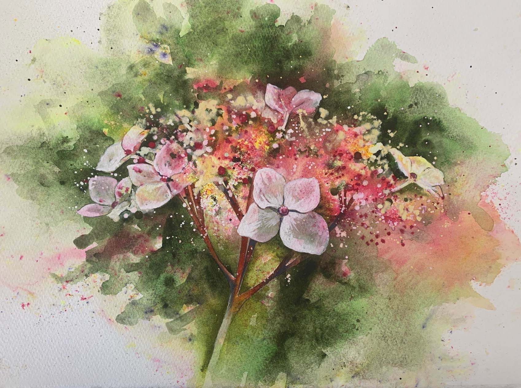 Watercolour hydrangea by Ali Board