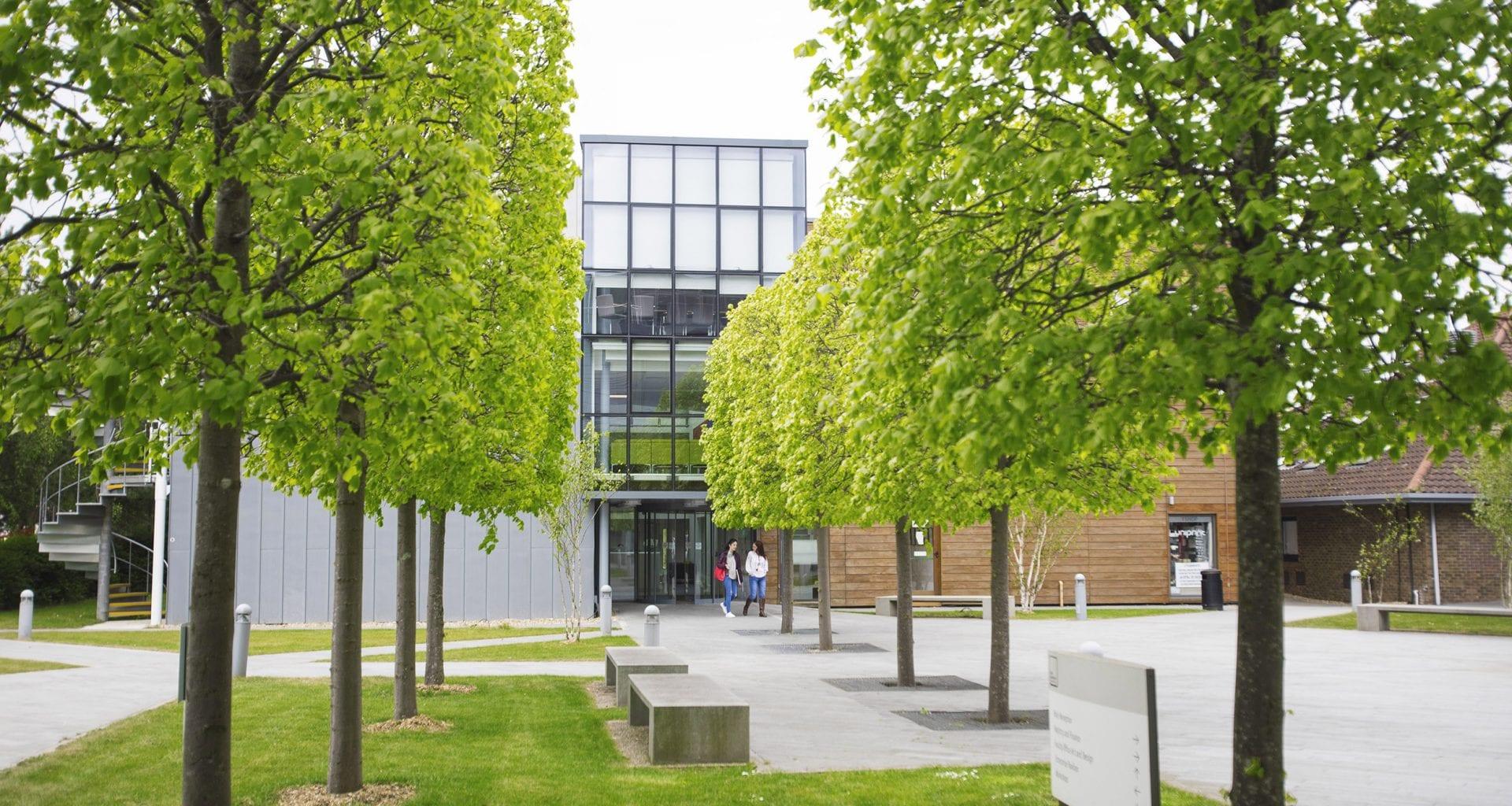 Two lines of trees cut into square shape, with a courtyard and university buildings in the background.