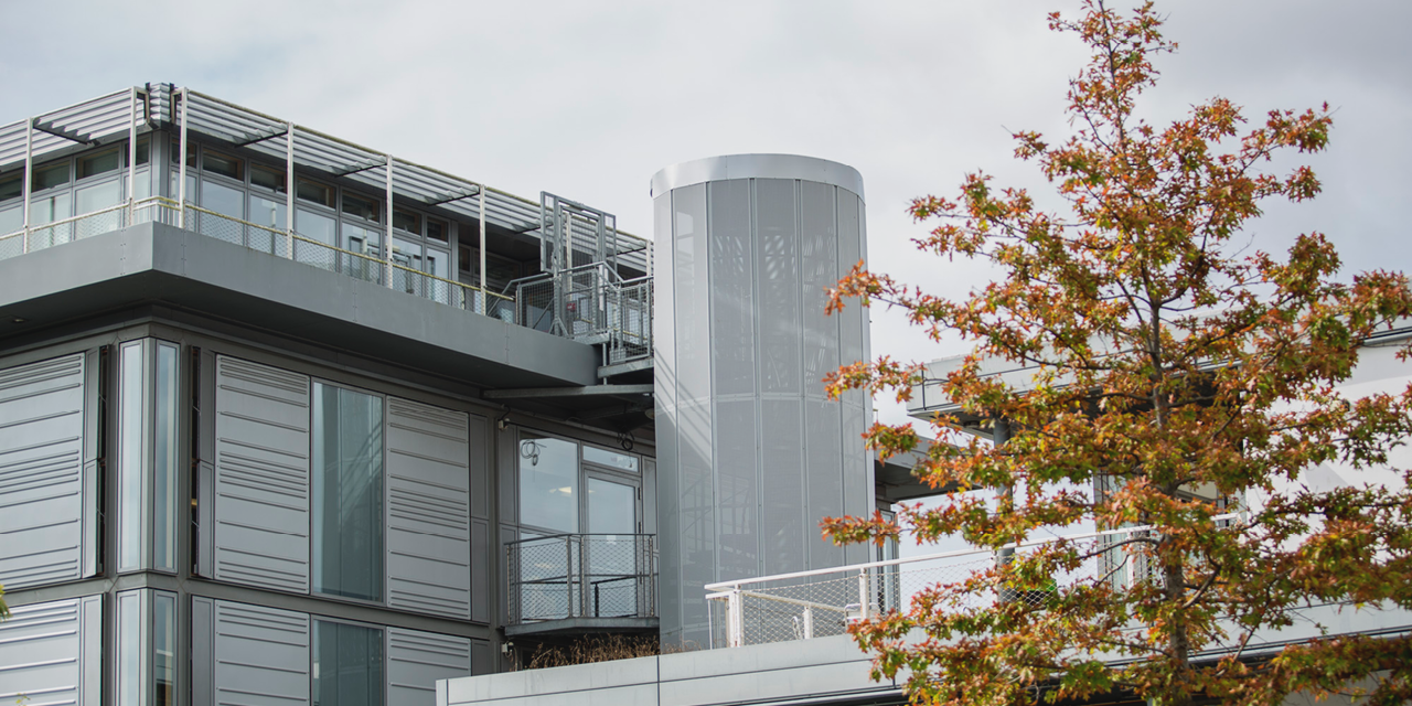 Corner of a university building with balconies and steps leading to a large metal cylinder in the centre. A tree appears in the bottom-right.