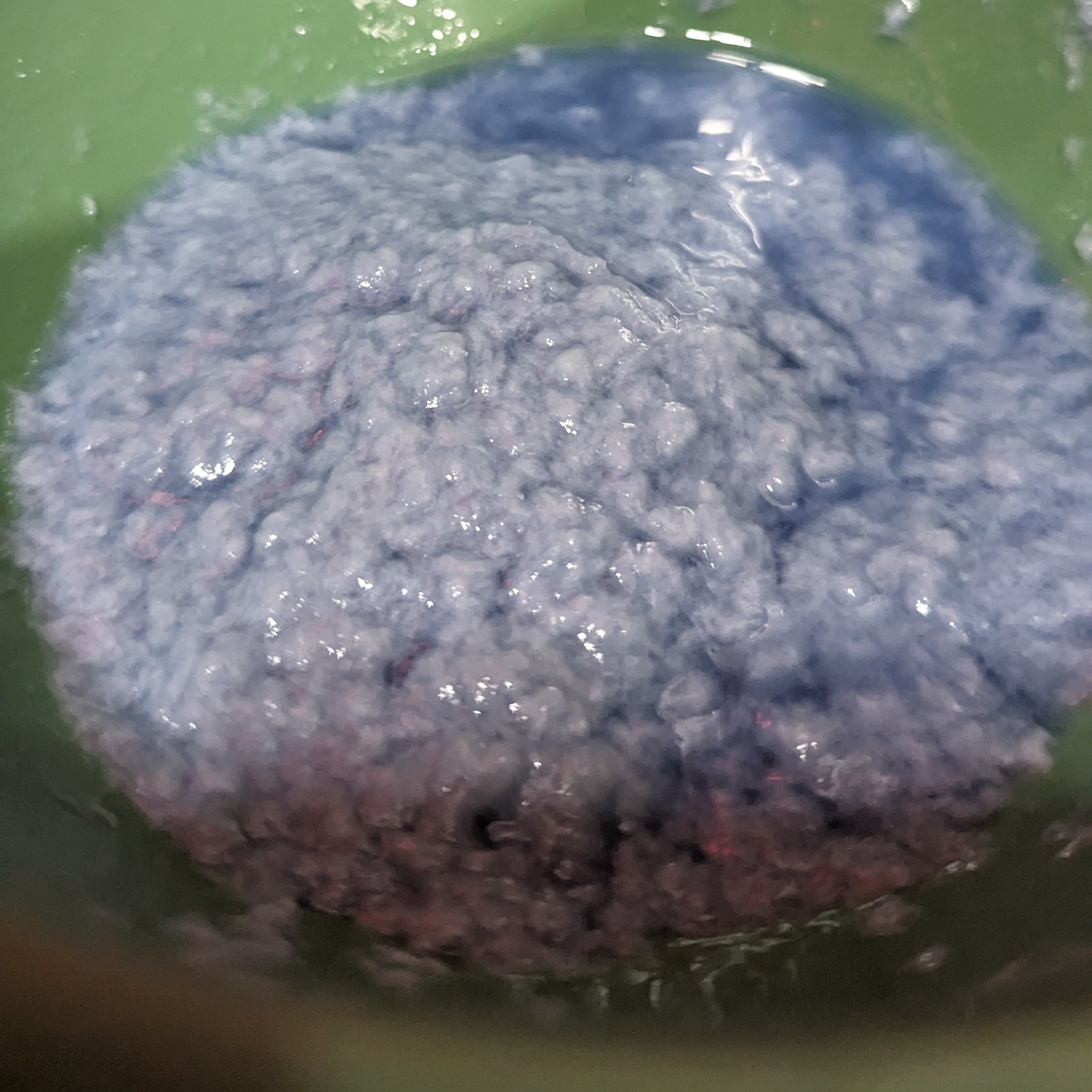 A lump of wet paper pulp.