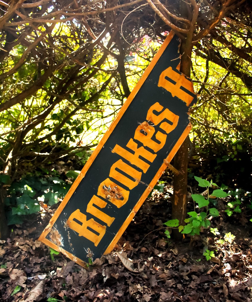 A broken shop sign, with two bullet holes, under a hedge.