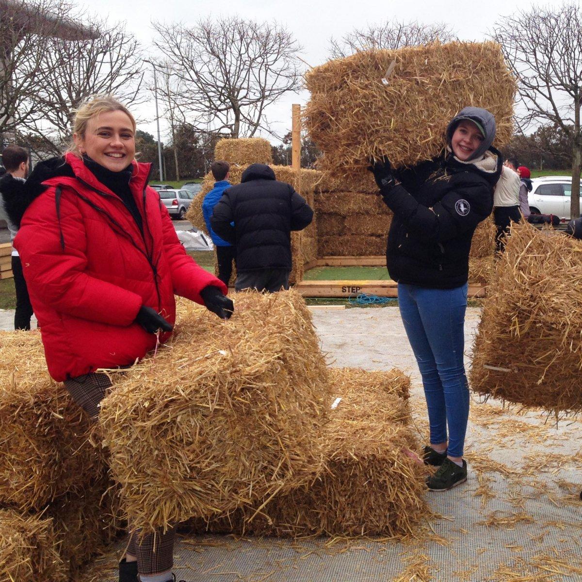 AUB Human volunteers stood by a straw bale