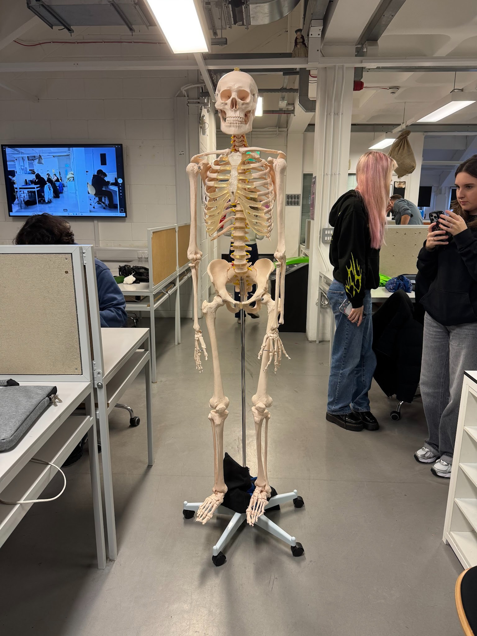 A life-sized skeleton model on a wheeled stand, positioned in a classroom or studio setting. In the background, various students are engaged in activities, with a large television displaying an image on the wall.