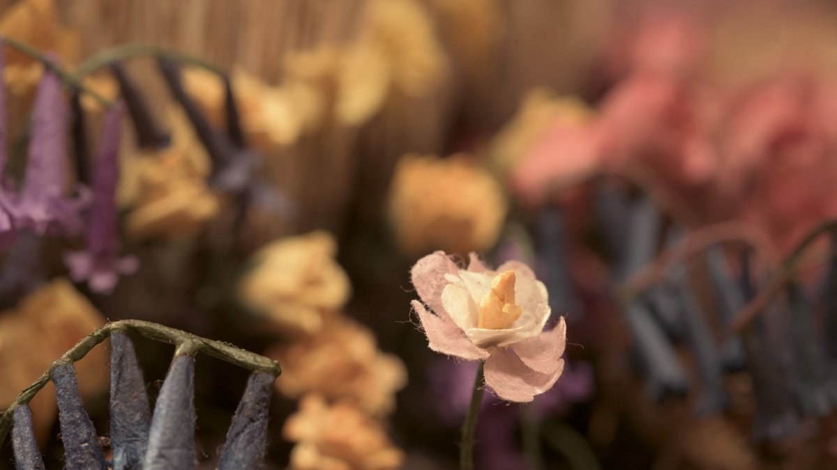 Close-up of an animated flower.