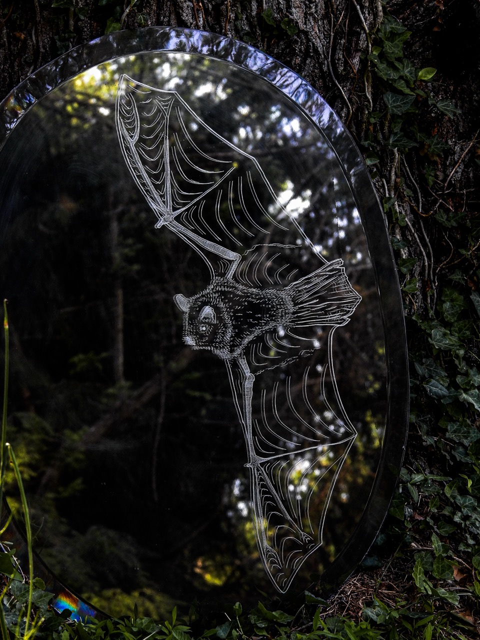 An oval glass panel etched with a bat in the centre, set against dark woodland foliage and tree bark.