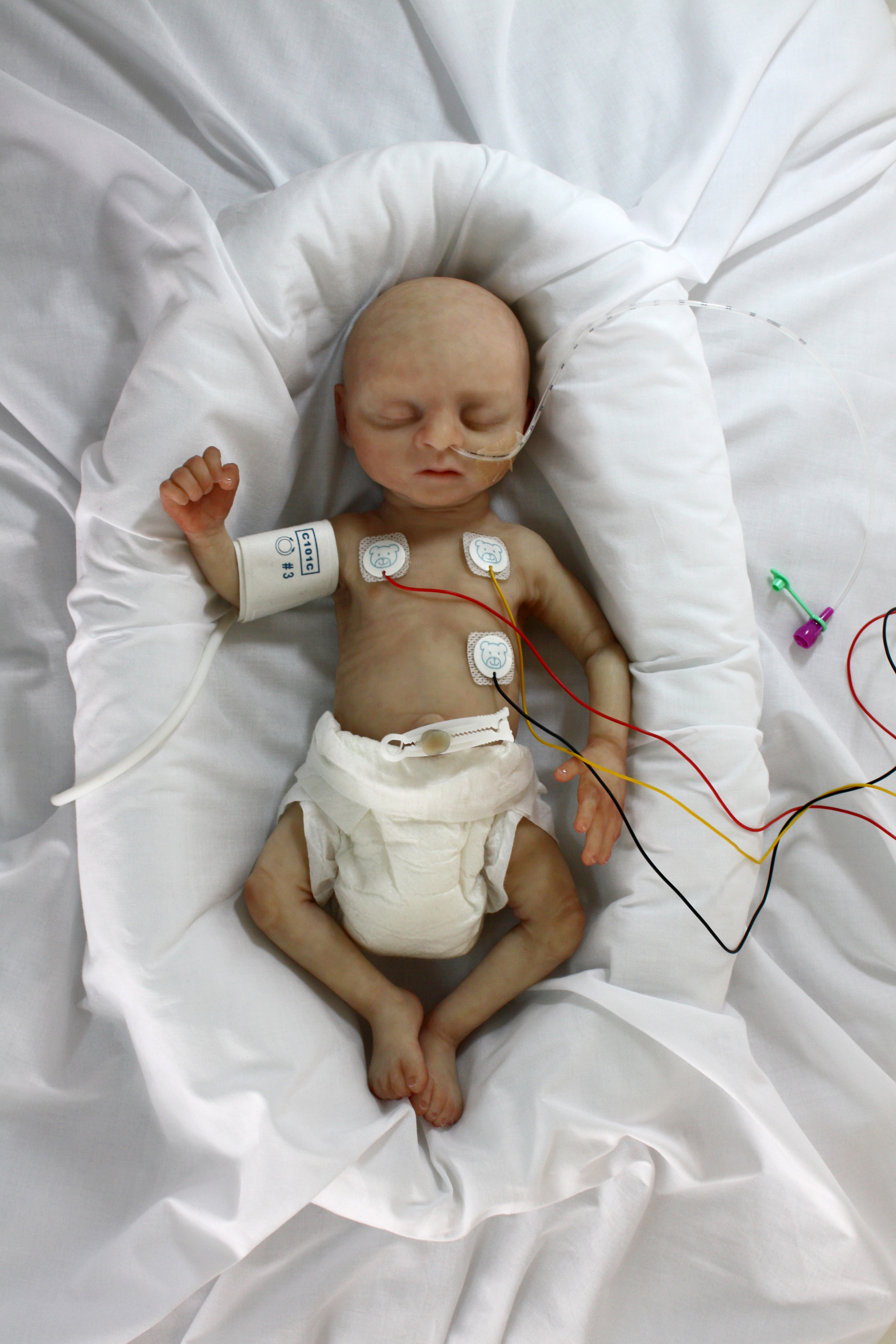 model of baby on heart rate machine