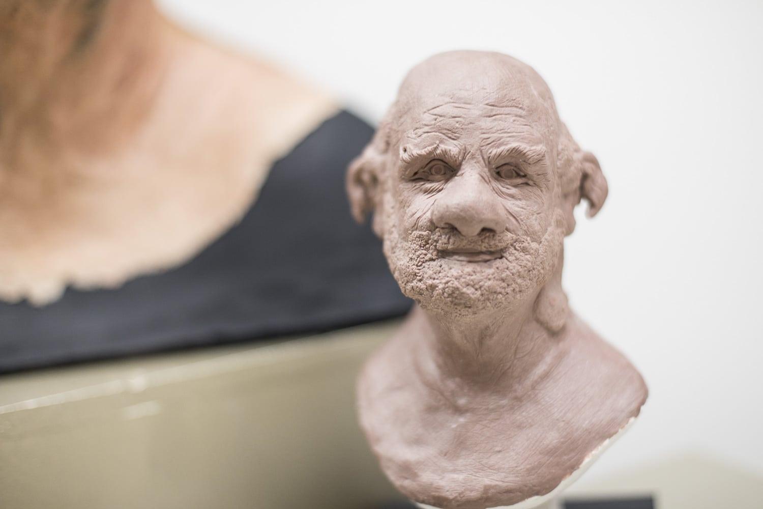 Model of a fantasy creature's head and shoulders.