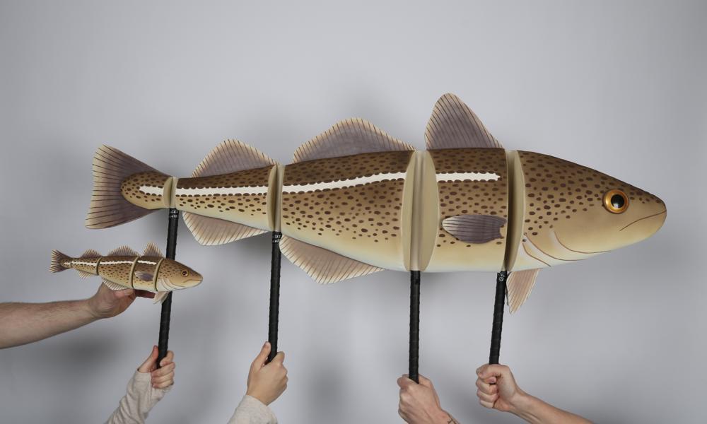 Large-scale model of a huge brown-yellow cod with four handles underneath held up, separated into four separate sections. A person is holding a smaller version of the same model on the left.