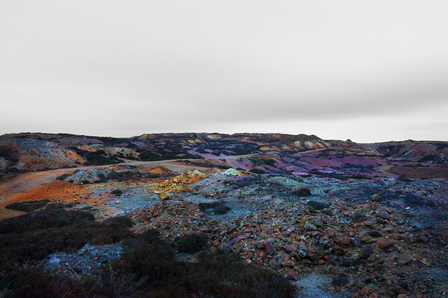 Abstract landscape of heathland with stylised colours