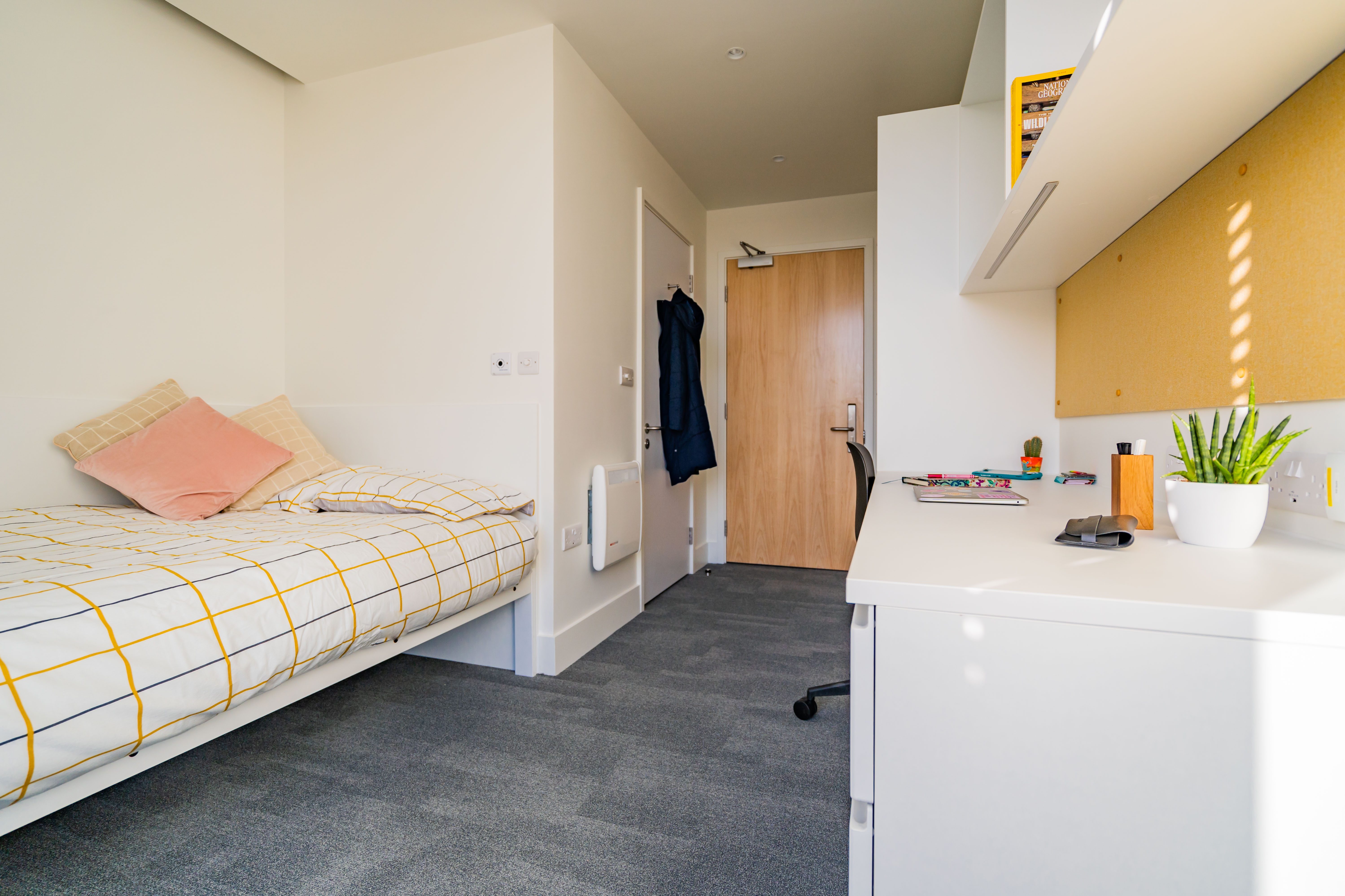 View inside of Campus Halls Ensuite Room