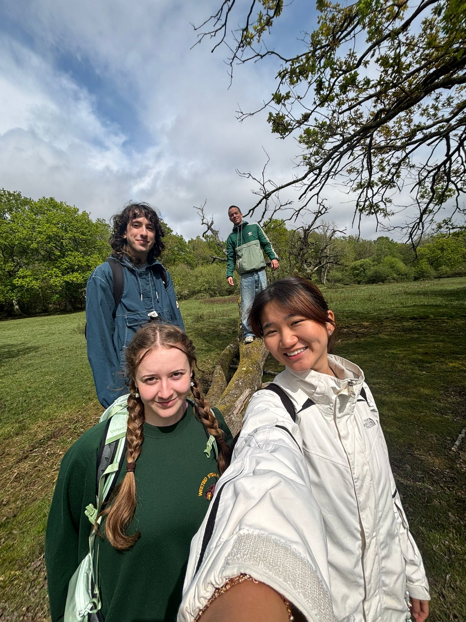 A group of four individuals stands outdoors on a tree in a park. Three people, including a woman with a backpack and a man wearing a green jacket, are positioned on the tree, while a woman in a white jacket takes a selfie in the foreground.