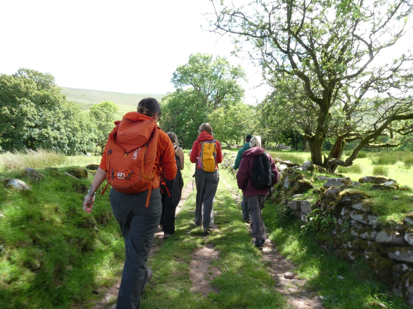 A group of four hikers walking along a grassy path bordered by stone walls. They are dressed in outdoor clothing, including backpacks, and surrounded by trees and greenery under a clear sky.