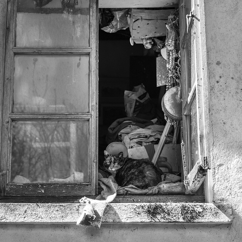 Black and white image of open window with cluttered interior visible, including hanging objects and scattered items on windowsill.