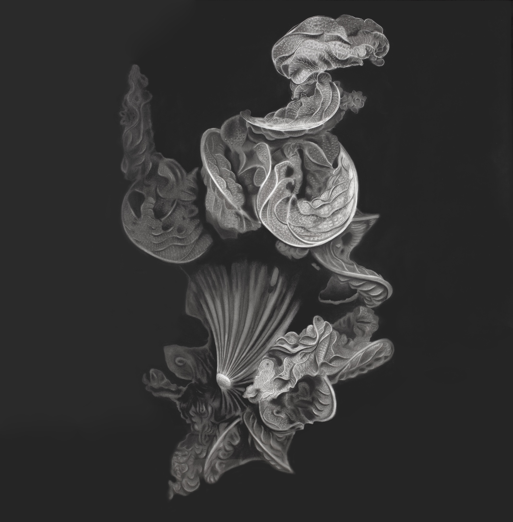 A monochrome abstract floral arrangement of layered petals and curved leaves on a dark background.