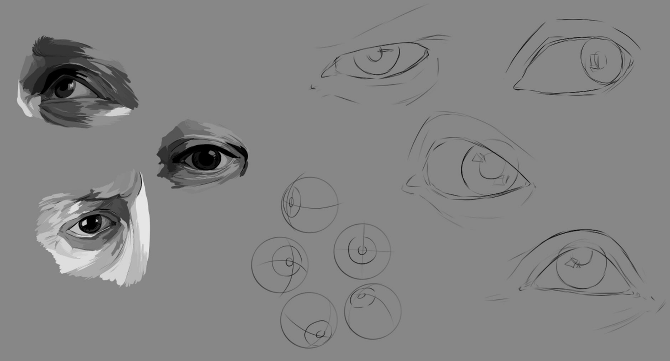 Several sketches and studies of human eyes.