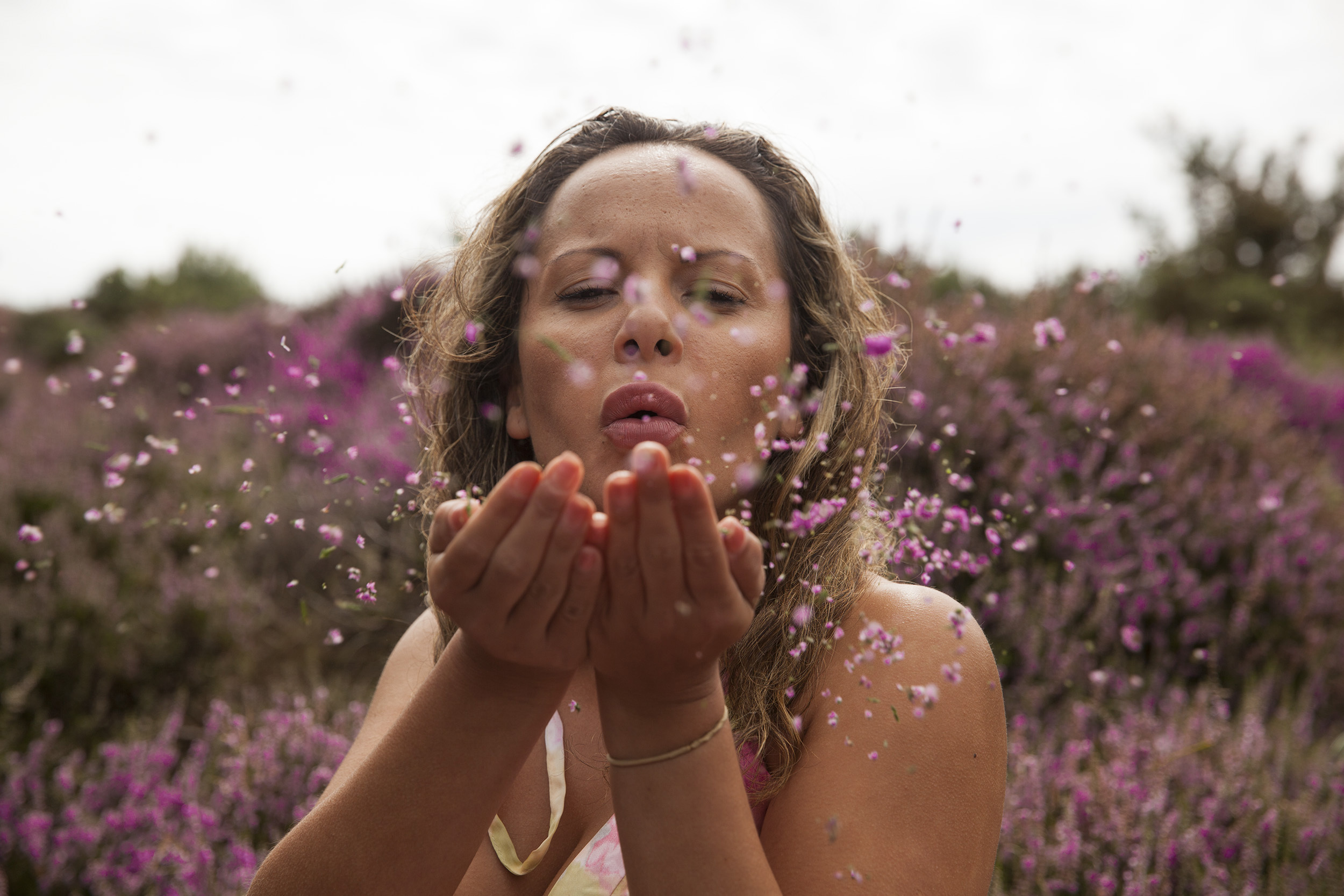 A person in a field of lavender blowing a handful of flowers at the camera
